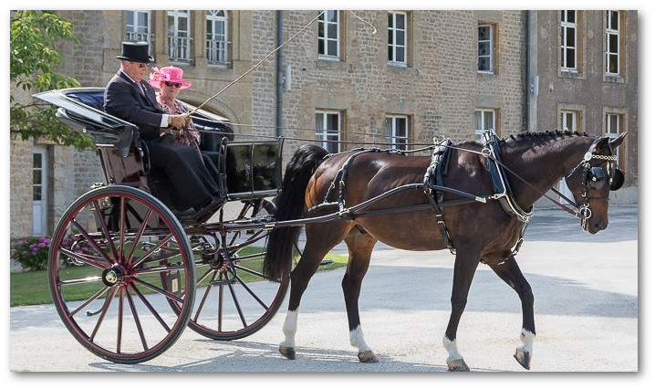 Concours d’attelage de tradition
